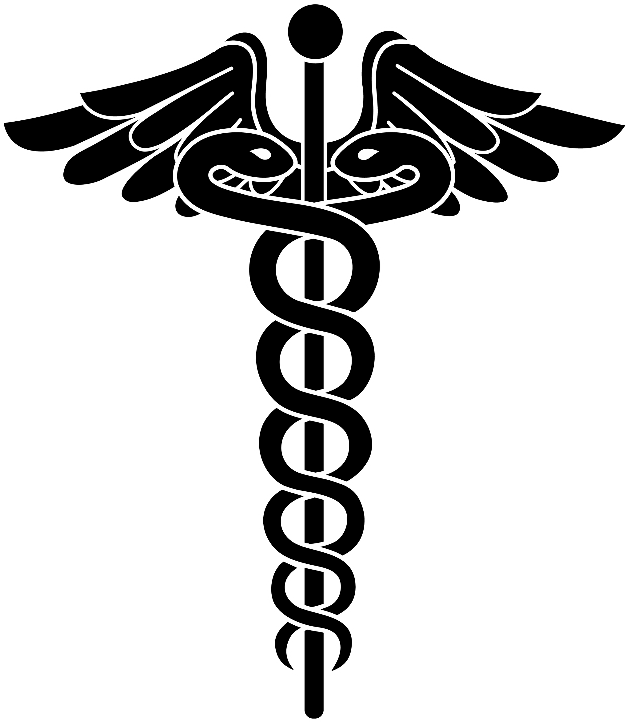 Custom Made Medical Lace Wigs Heavenly Tresses